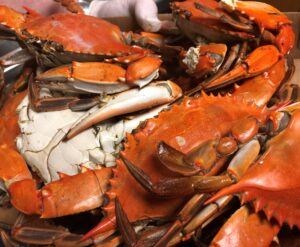 crab feast coming in july