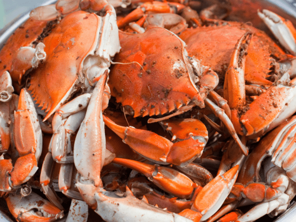 Crab Feast Tickets