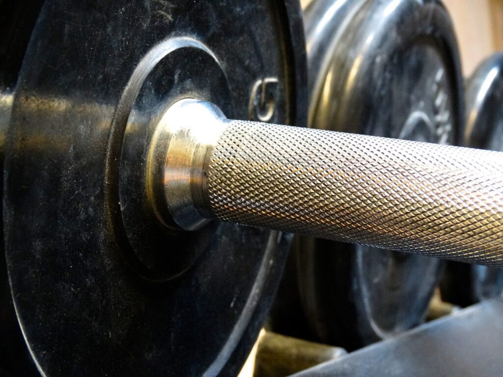 weights used to gain muscle as we age